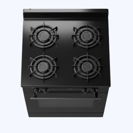 Кухонная плита ThermoZen GMA8